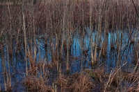 http://www.virguleflottante.com/files/gimgs/th-9_Capture d’écran 2019-04-06 à 01_52_05.jpg